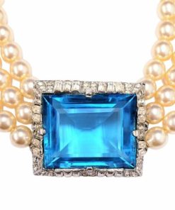 Pacesage.shop188550db56 2