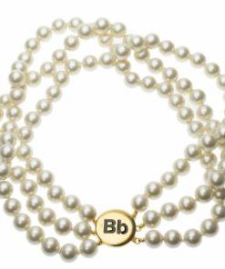 Pacesage.shop5045d5933d 1