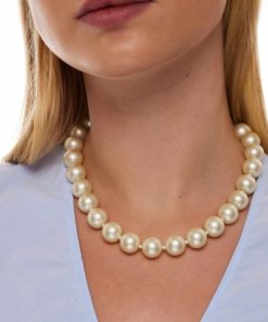 Pacesage.shop54fdfb9206 1