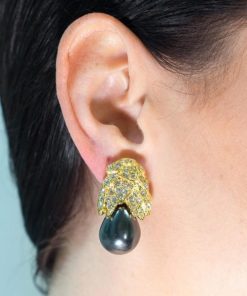 Pacesage.shopd3f43fdeb5 2